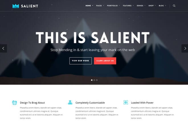 Salient-WordPres