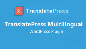 TranslatePress-Pro